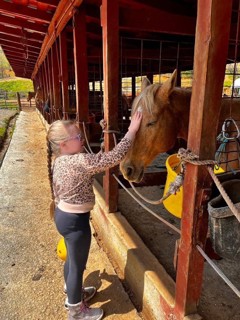 Sandy Bottom Trail Rides (Marshall)