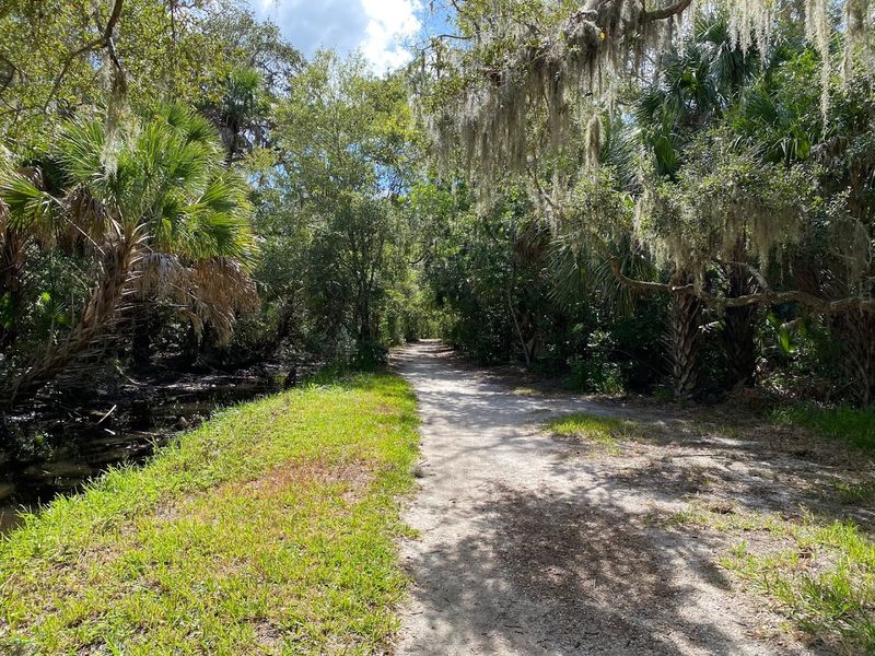 Hammock Park (Dunedin)