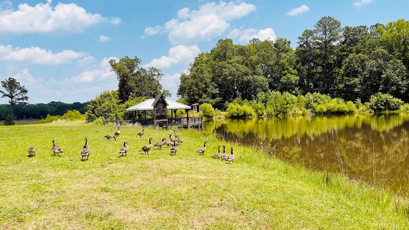 Pee Dee National Wildlife Refuge &mdash; Wadesboro