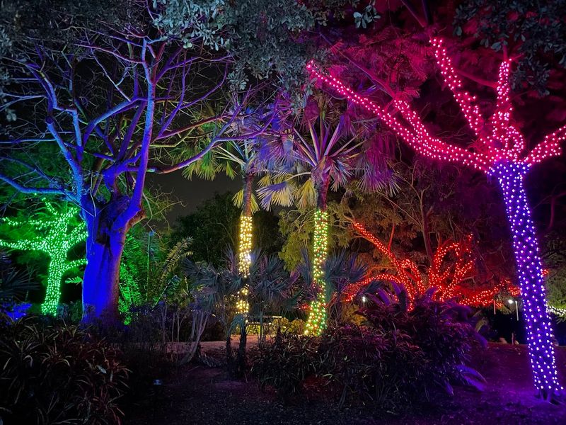 Spectacular Seasonal Events Including The Illumina Holiday Lantern Display