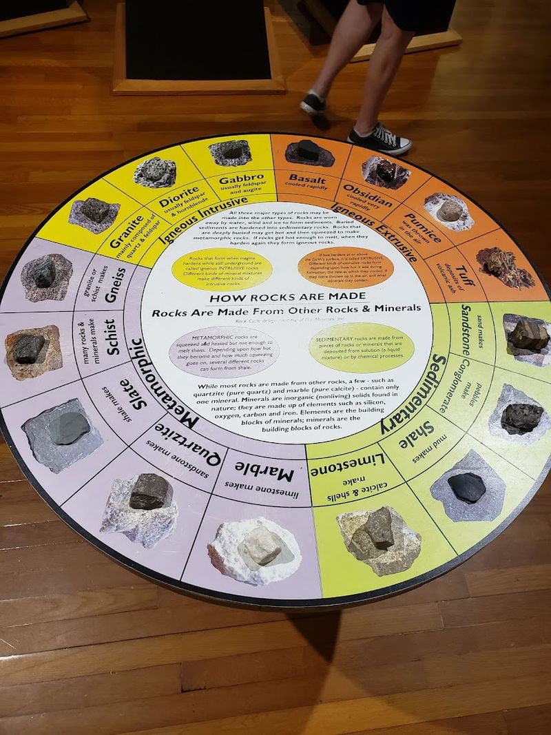 Family-Friendly Ways To Learn