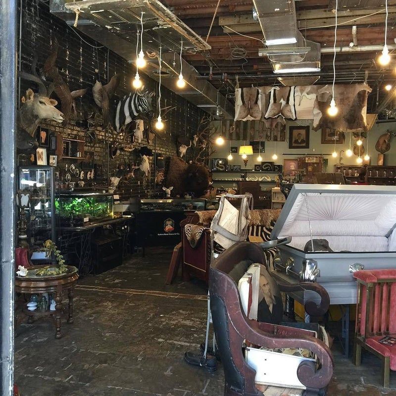 A Museum-Like Shopping Experience