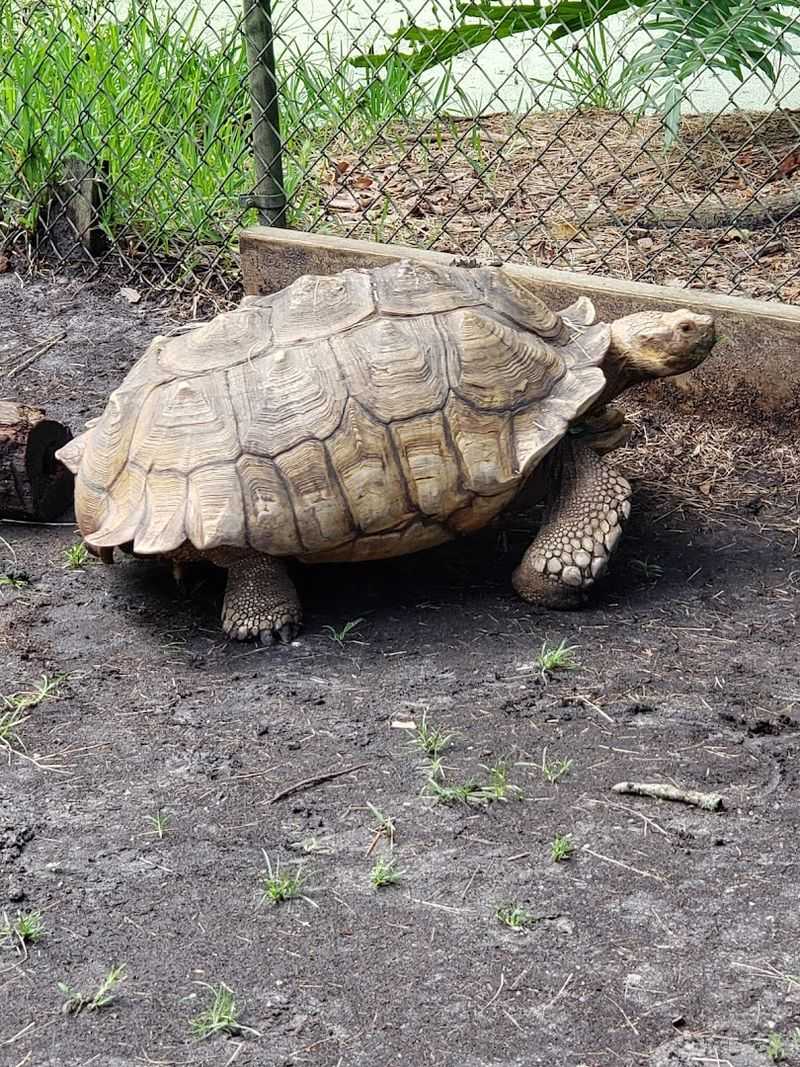 Tickets, Discounts, And Contact Info