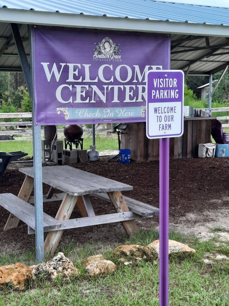 Guided Tours That Teach You Something