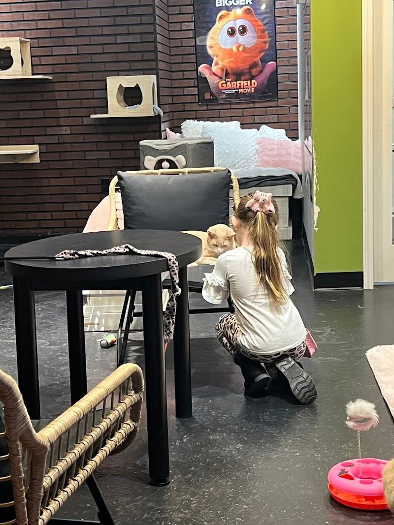 The Crowd You Will Share the Space With