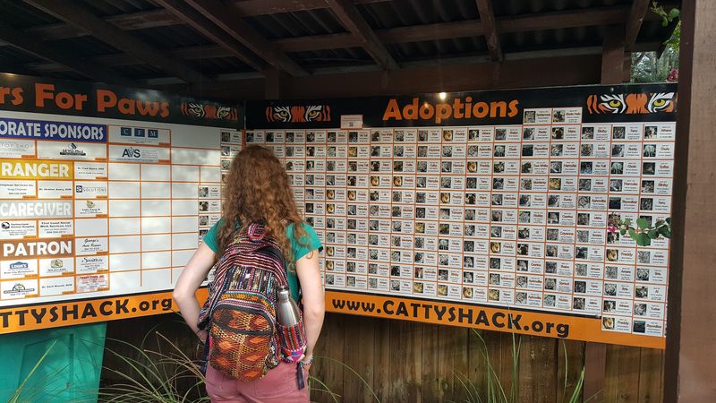 Education at the Heart of the Experience