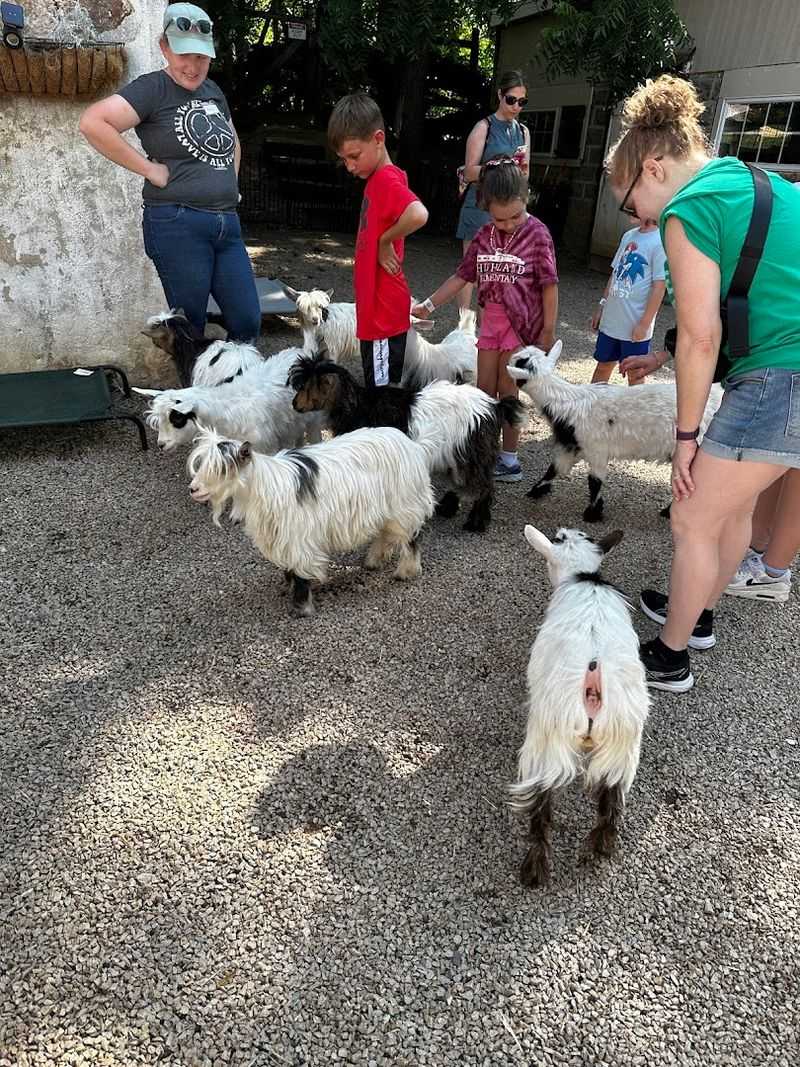 Rose Bridge Farm & Sanctuary (Dresher, PA)