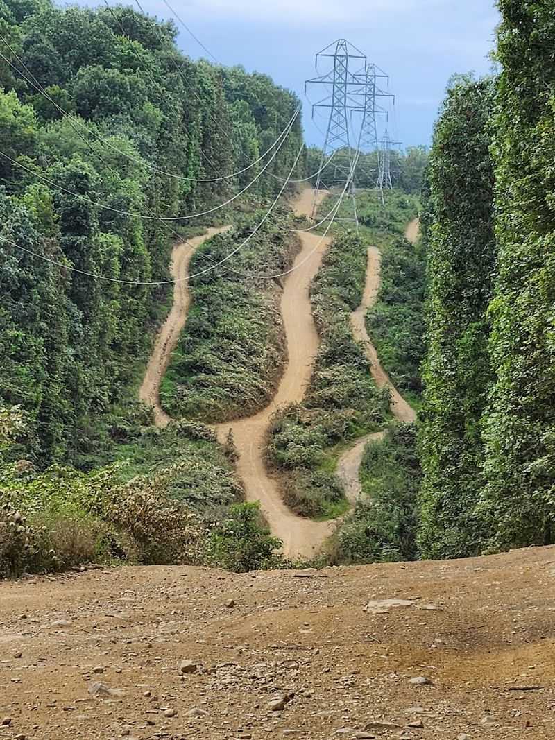 Family Friendly Tips And Comforts