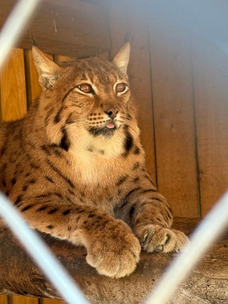 Educational Value for Families