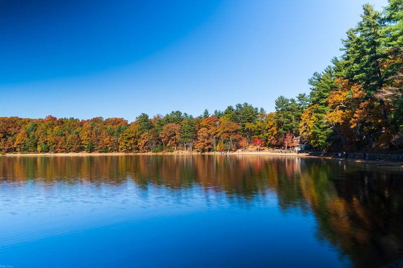 Walden Pond State Reservation