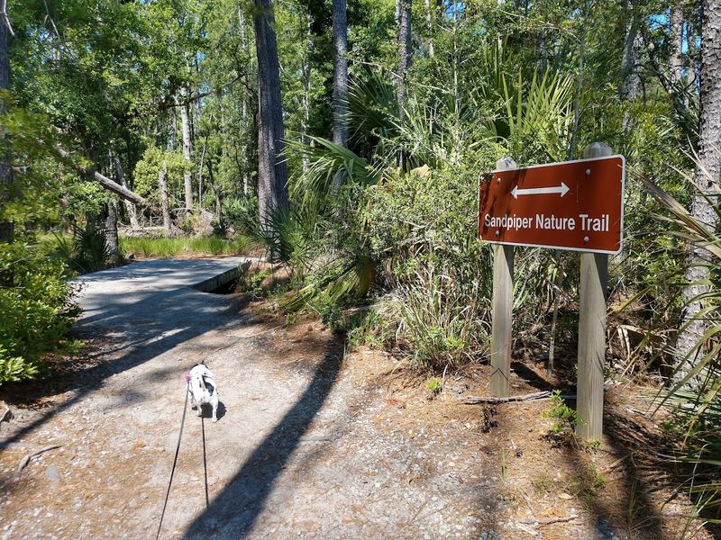 Easy, Family-Friendly Trail System