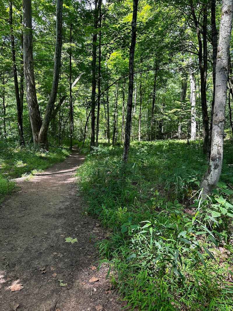 Wolf Creek Narrows Natural Area