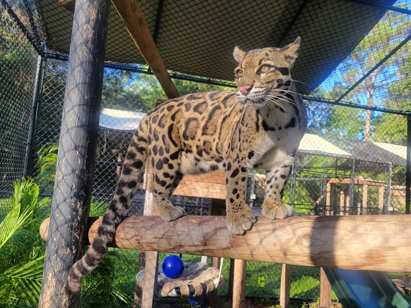 Guided Tours: What to Expect