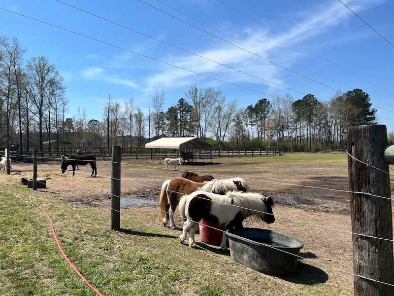 Sweet Valley Ranch (Fayetteville)