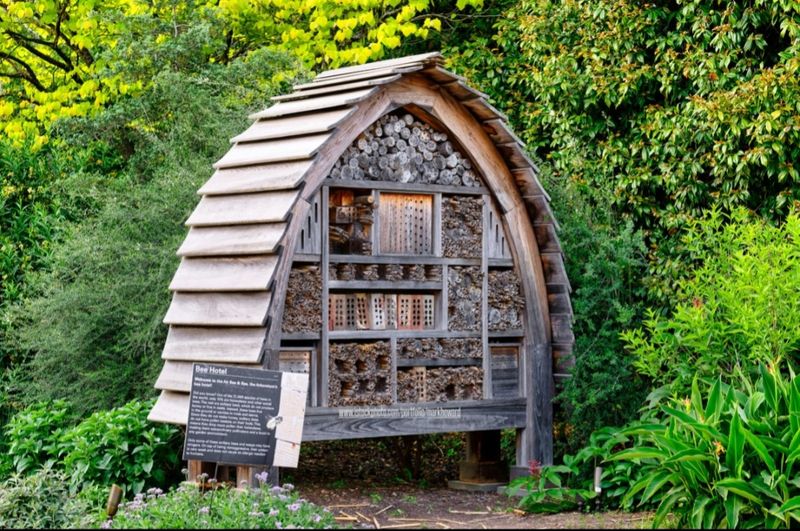 JC Raulston Arboretum, Raleigh