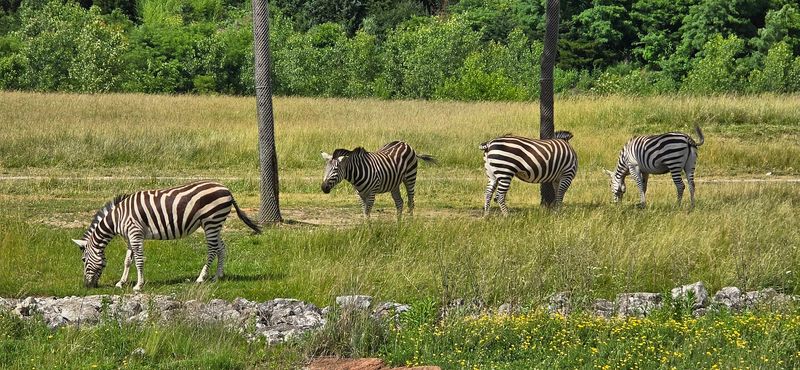 Other Immersive Experiences and Activities