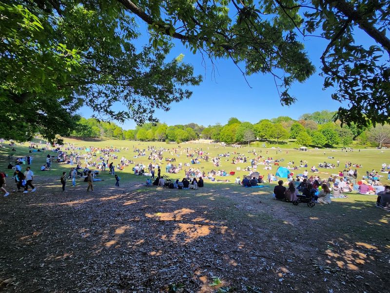 Atlanta Dogwood Festival