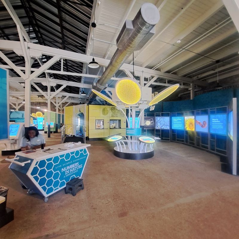 What Parents and Caregivers Can Do While the Kids Explore