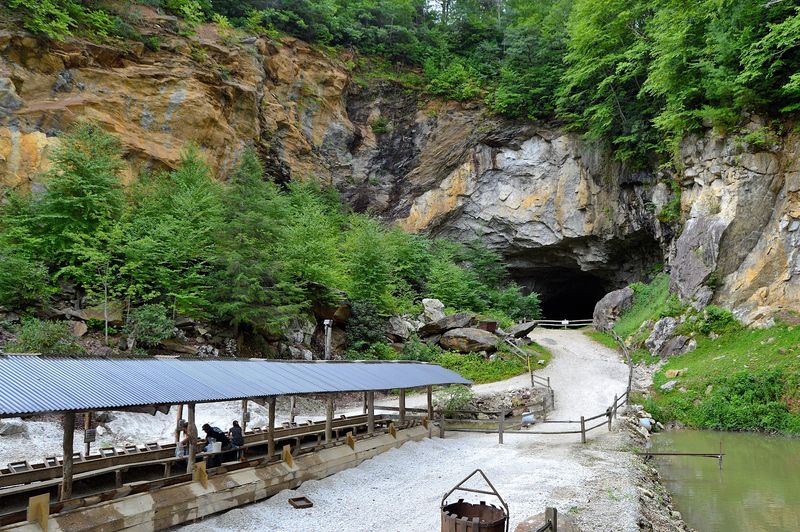 Planning Your Visit: Practical Tips for the Best Day Possible