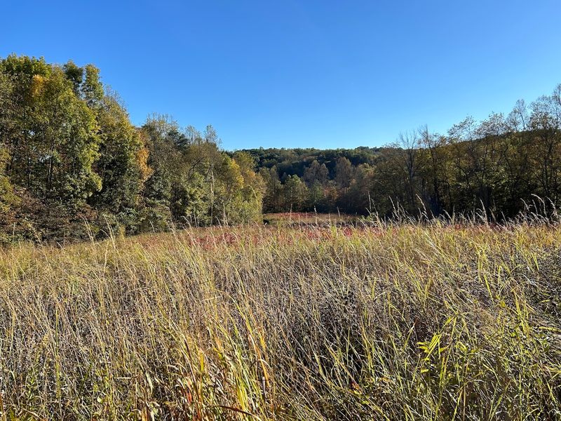 A Rare Meeting of Ecological Zones