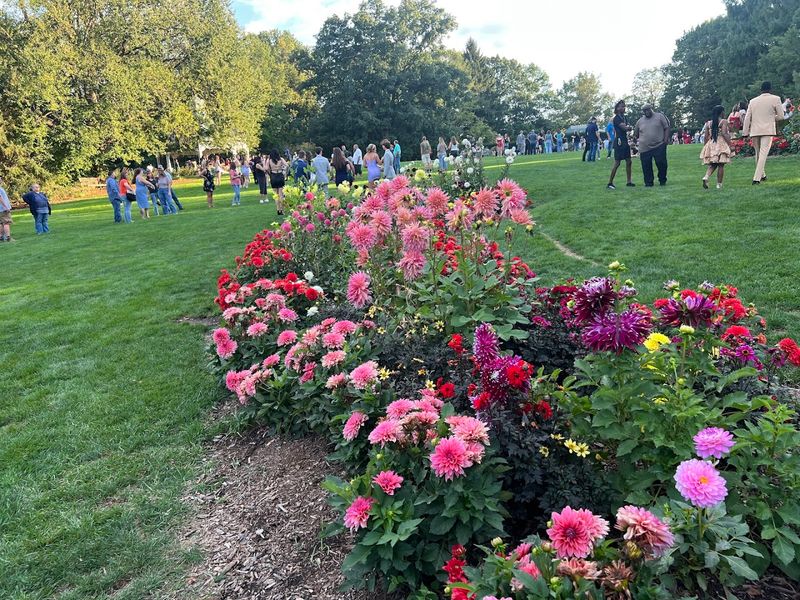 Events, Classes, and Community Experiences