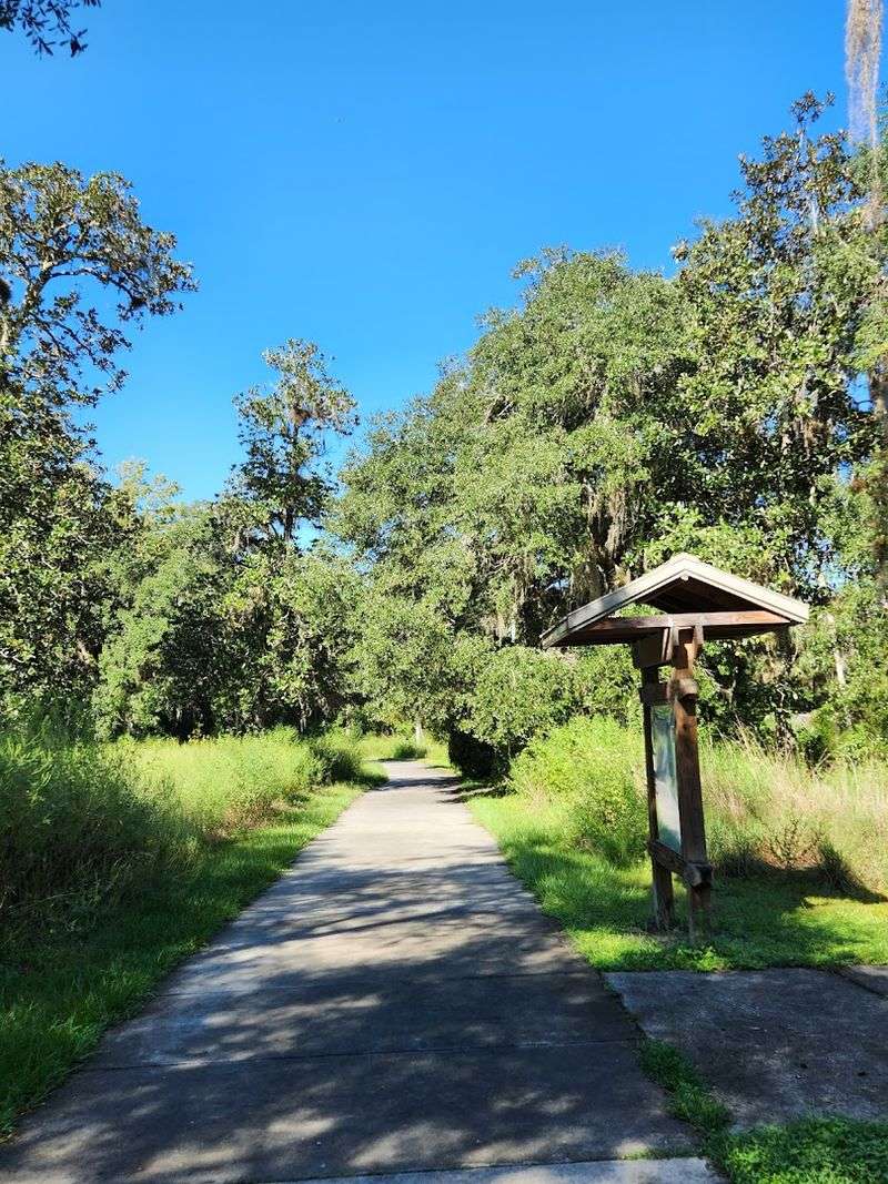 Shaded Hiking Trails Through Hammock Forest