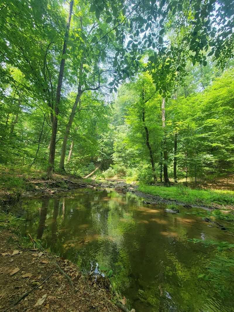 Painter Trail and Rocky Run Trail (Tyler Arboretum)
