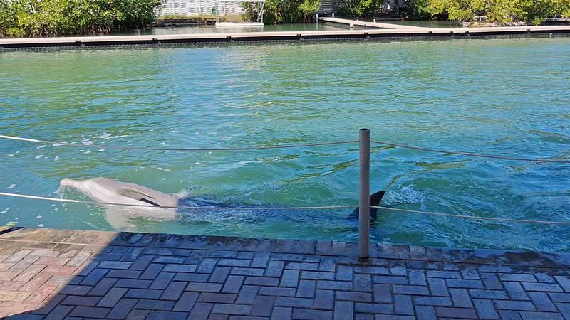 Natural Saltwater Lagoon Beach