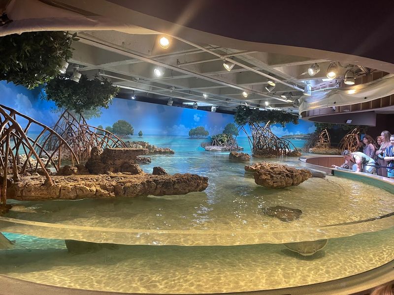 Multi-Level Exhibits for All Ages