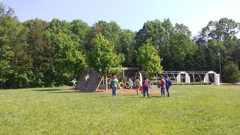 Visitor Tips for the Best Butterfly Experience