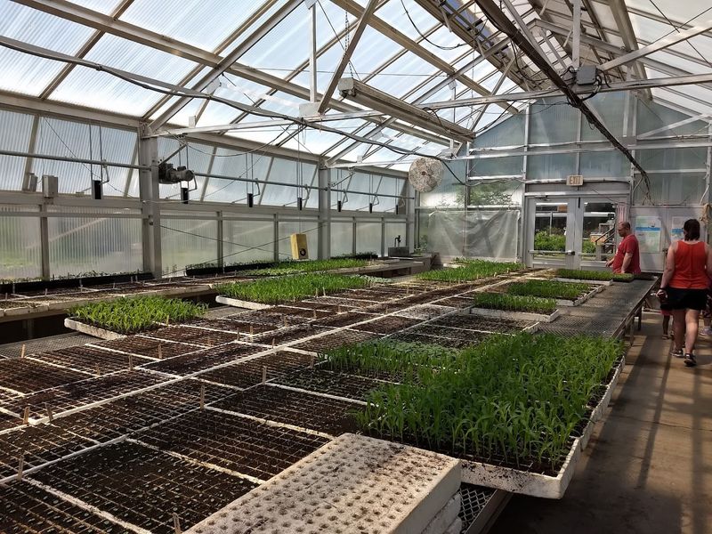 A Working Farm Focused on Sustainability