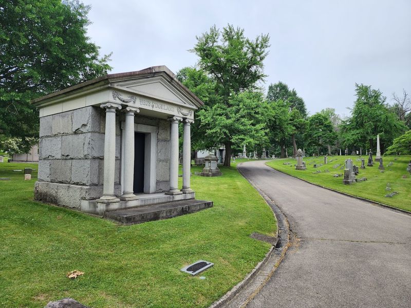 Wildlife and Unexpected Quiet