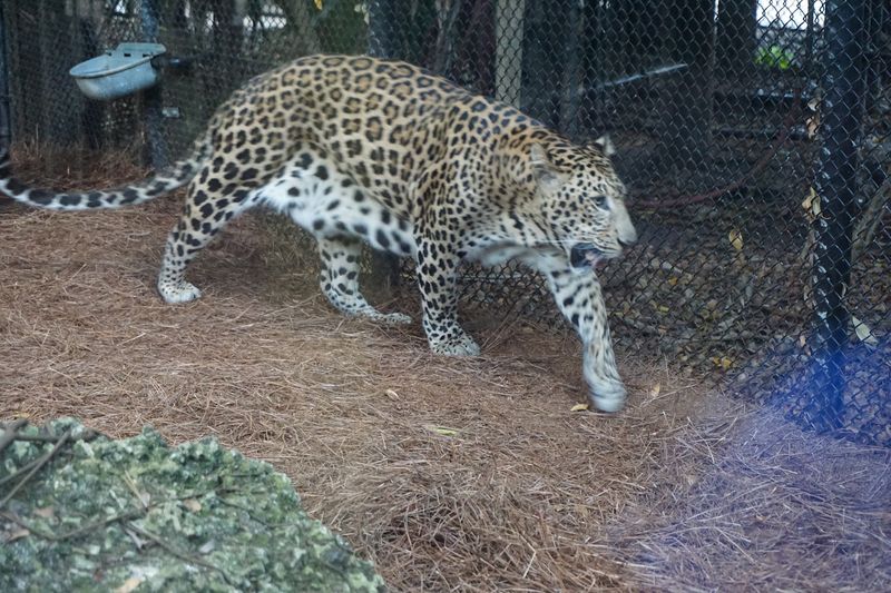 Visitor Information and Tips for Planning Your Trip