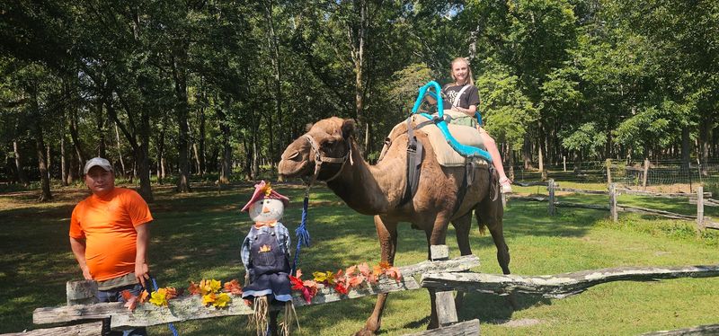 Family-Friendly Atmosphere and Group Activities