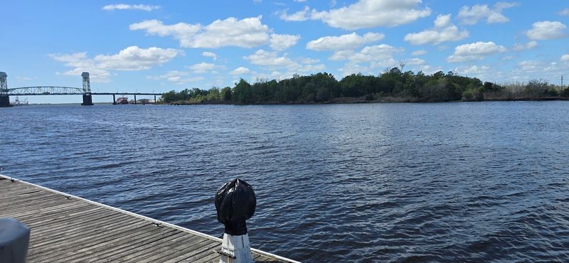 Visitor Tips: Parking, Timing, and What to Know