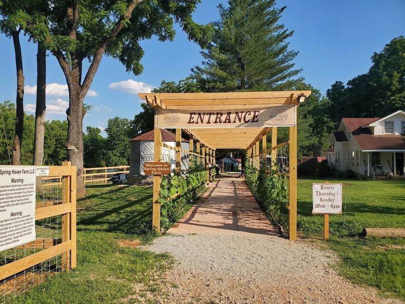 Why Spring Haven Farm Is Worth the Drive