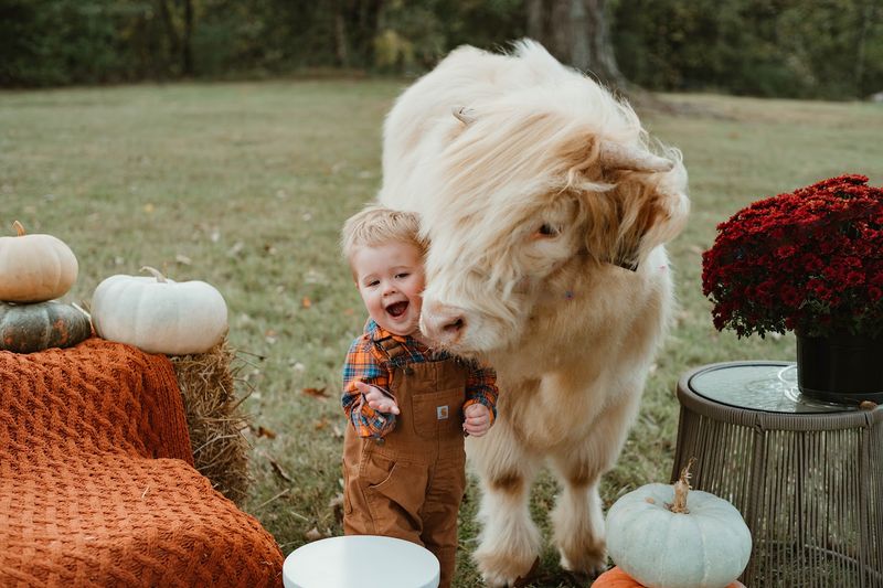 Photo Opportunities With Adorable Animals