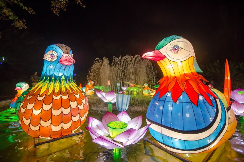 The Magical Holiday Light Displays