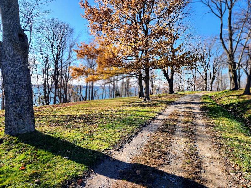 Accessibility, Strollers, and Trail Surface Conditions