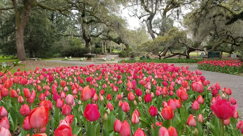 Resilience Through Storms and Time