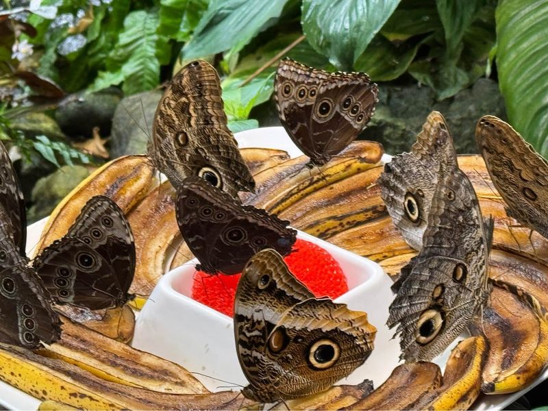 Visitor Information and Planning Your Trip