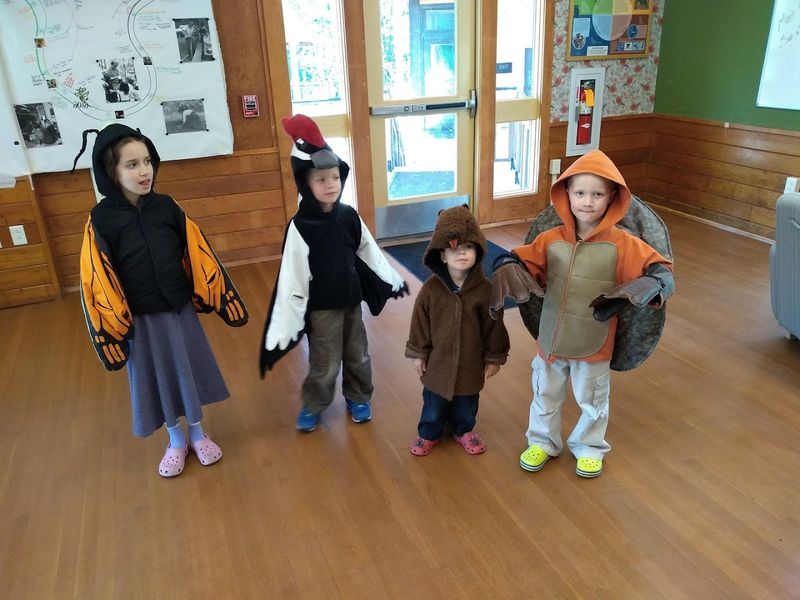 Visitor Information: Hours, Location, and What to Know Before You Go