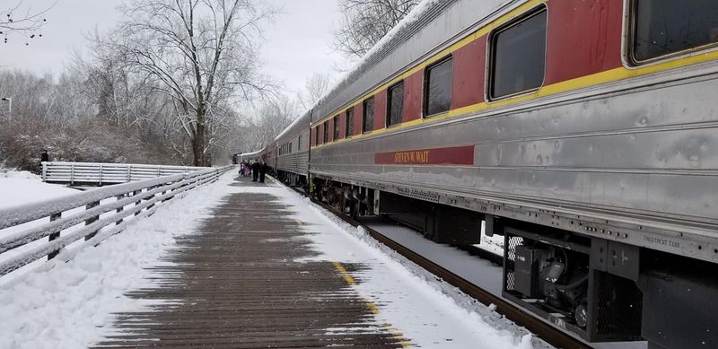 Special Themed Excursions Worth Planning Around