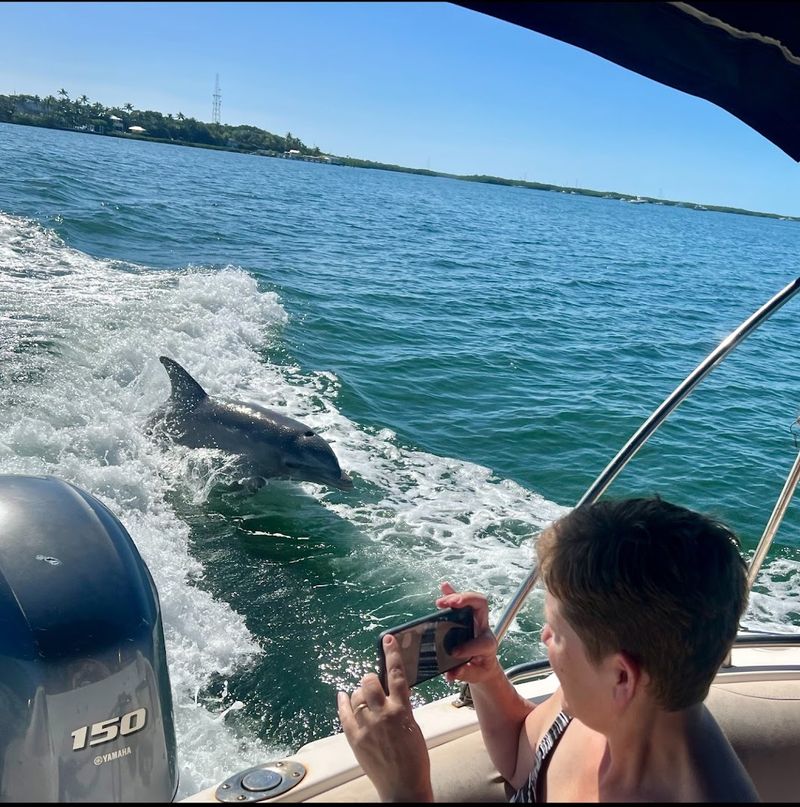 A Family Fun Boat Tour Company - Islamorada
