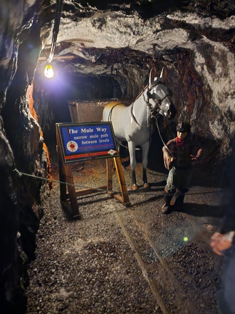 Explore the Mule-Way and Underground Work Areas