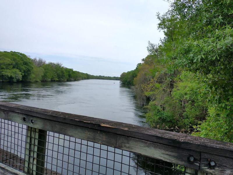 Nature Coast State Trail
