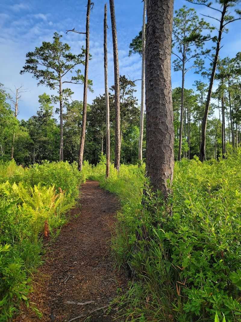 Falling Waters Trail