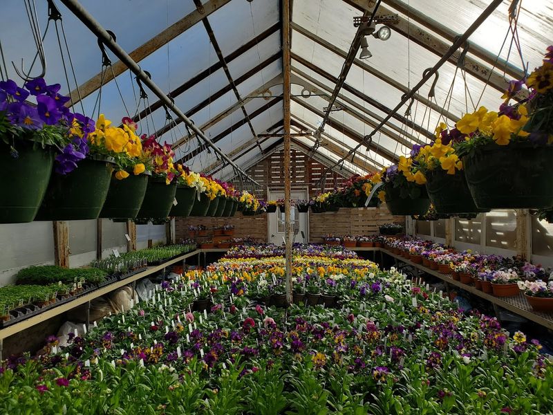 Allandale Farm