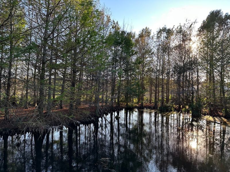 Two Loops, Smart Routing, and Crowd Avoidance