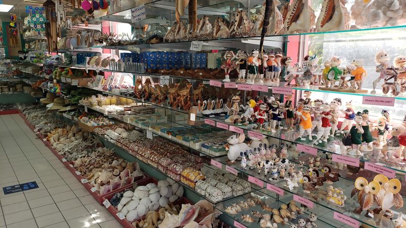 Sanibel Shelling Like a Pro